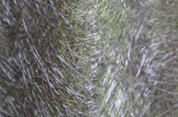 Mill Common fibreglass roof work